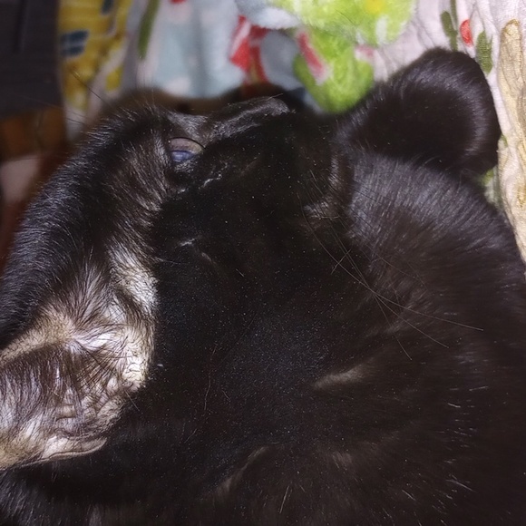 NoraBlue10 Is Live + Like to be notified - Picture 7 of 10